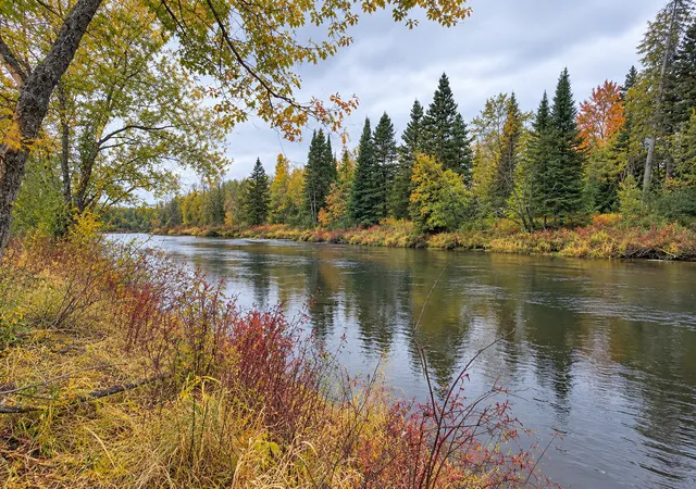 Photo 2 of Land for sale at Tbd Highway 5, Effie, MN 56639 | MLS# 7047991 | Listing updated on 2026-09-10