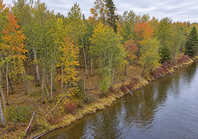 Photo 3 of Land for sale at Tbd Highway 5, Effie, MN 56639 | MLS# 7047991 | Listing updated on 2026-09-10