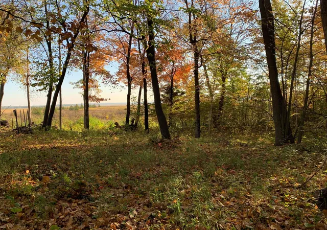 Photo 3 of Sale Pending at Tbd Grouse Loop NW, Walker, MN 56484 | MLS# 7048719 | Listing updated on 2026-09-15