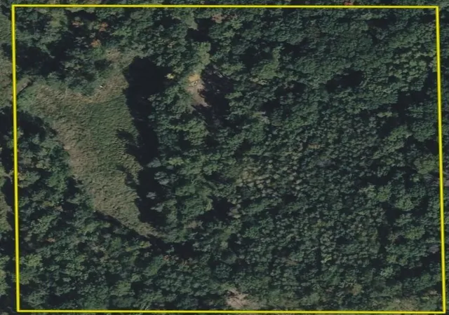 Photo 2 of Land for sale at Tbd Barrett Trl, Trego, WI 54888 | MLS# 7062573 | Listing updated on 2026-10-06
