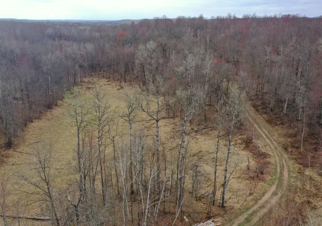 Photo 3 of Land for sale at Tbd Barrett Trl, Trego, WI 54888 | MLS# 7062573 | Listing updated on 2026-10-06