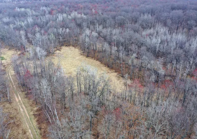 Photo 3 of Land for sale at Tbd Barrett Trl, Trego, WI 54888 | MLS# 7062573 | Listing updated on 2026-10-06