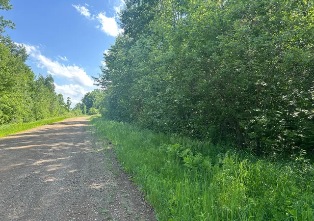 Photo 1 of Land for sale at Tbd 250th Street, Aitkin, MN 56431 | MLS# 7072690 | Listing updated on 2026-09-12