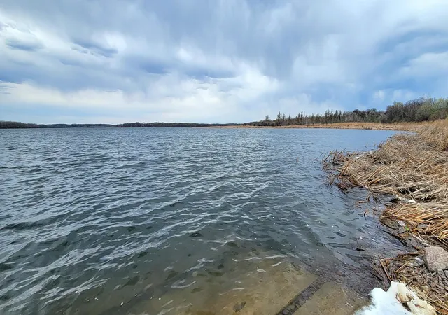 Photo 2 of Land for sale at 290xx County Hwy 35, Underwood, MN 56586 | MLS# 7075223 | Listing updated on 2026-09-15