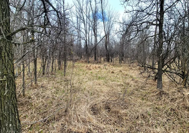 Photo 3 of Land for sale at 290xx County Hwy 35, Underwood, MN 56586 | MLS# 7075223 | Listing updated on 2026-09-15