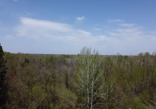 Photo 1 of Land for sale at 010071303 State Hwy 210, Aitkin, MN 56431 | MLS# 7077050 | Listing updated on 2026-09-11