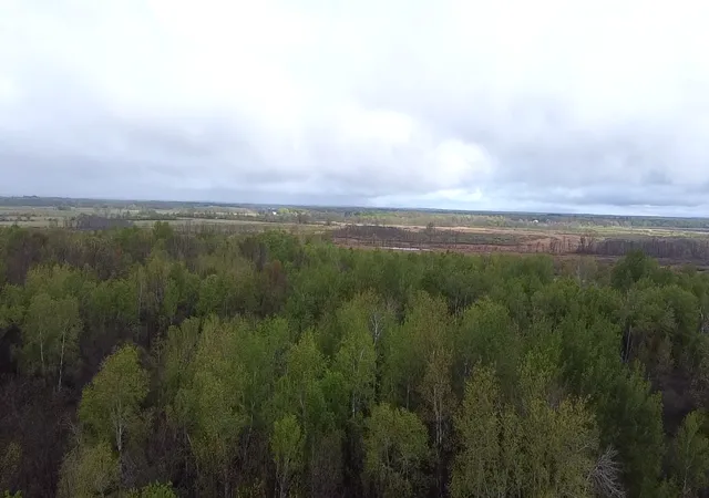 Photo 2 of Land for sale at 010071303 State Hwy 210, Aitkin, MN 56431 | MLS# 7077050 | Listing updated on 2026-09-11