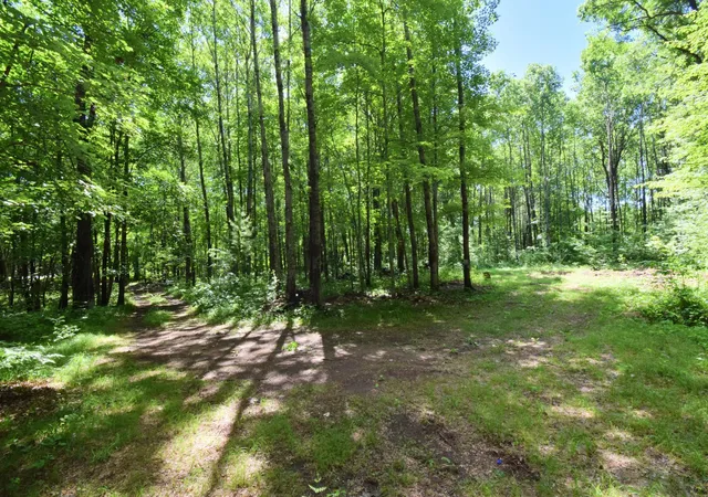 Photo 2 of Land for sale at 25227 Kruger Rd, Webster, WI 54893 | MLS# 7080869 | Listing updated on 2026-09-15