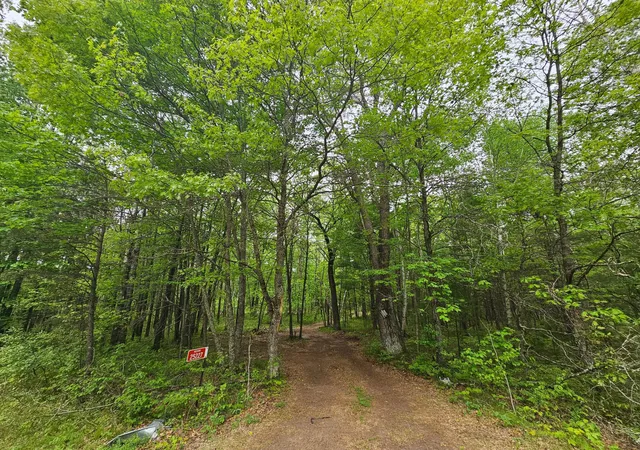 Photo 3 of Land for sale at 25227 Kruger Rd, Webster, WI 54893 | MLS# 7080869 | Listing updated on 2026-09-15