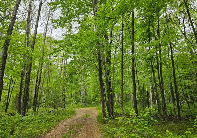 Photo 4 of Land for sale at 25227 Kruger Rd, Webster, WI 54893 | MLS# 7080869 | Listing updated on 2026-09-15