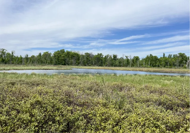 Photo 1 of Land for sale at 13384 Sorenson Lake Rd, Merrifield, MN 56465 | MLS# 7085108 | Listing updated on 2026-10-09