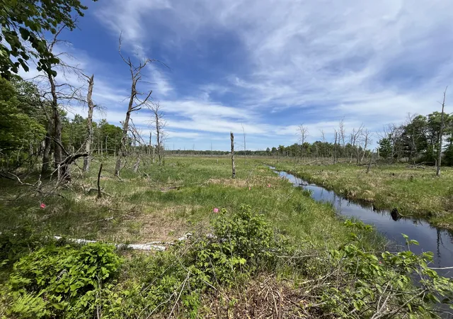 Photo 2 of Land for sale at 13384 Sorenson Lake Rd, Merrifield, MN 56465 | MLS# 7085108 | Listing updated on 2026-10-09