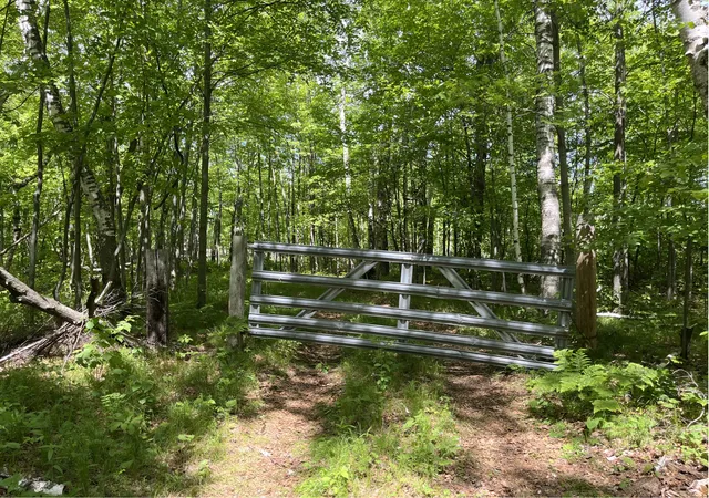Photo 3 of Land for sale at 13384 Sorenson Lake Rd, Merrifield, MN 56465 | MLS# 7085108 | Listing updated on 2026-10-09