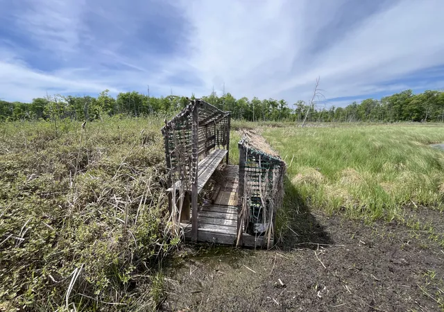 Photo 3 of Land for sale at 13384 Sorenson Lake Rd, Merrifield, MN 56465 | MLS# 7085108 | Listing updated on 2026-10-09