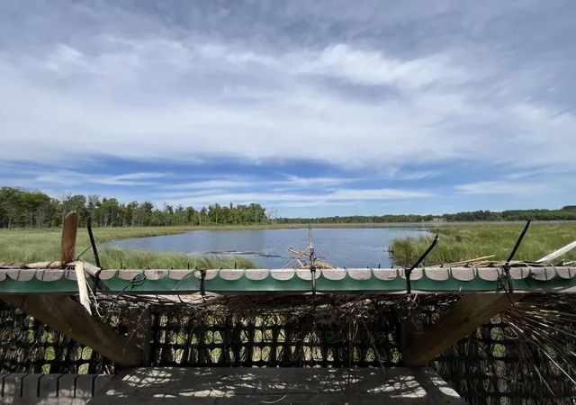 Photo 4 of Land for sale at 13384 Sorenson Lake Rd, Merrifield, MN 56465 | MLS# 7085108 | Listing updated on 2026-10-09