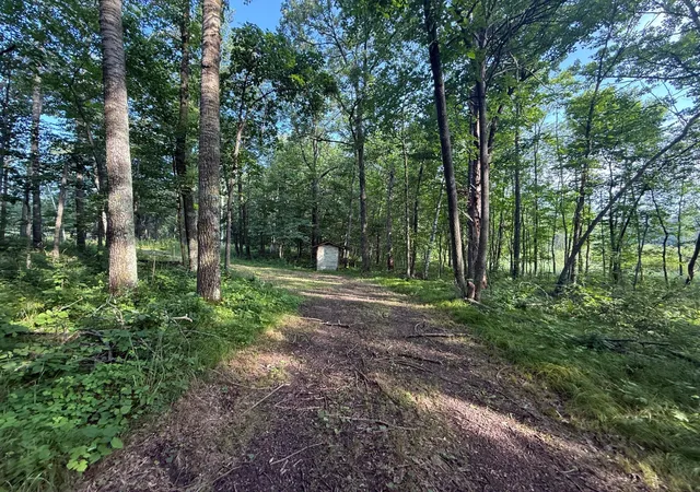 Photo 3 of Land for sale at Tbd Cr 109, Merrifield, MN 56465 | MLS# 7090436 | Listing updated on 2026-09-14