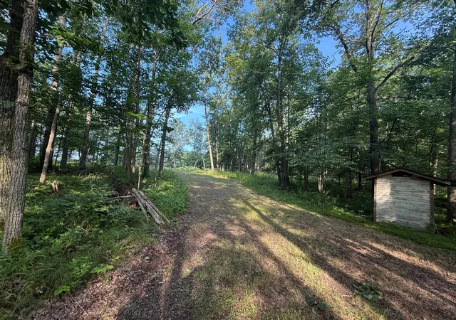 Photo 4 of Land for sale at Tbd Cr 109, Merrifield, MN 56465 | MLS# 7090436 | Listing updated on 2026-09-14