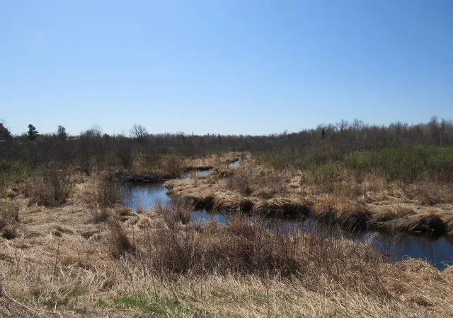 Photo 4 of Land for sale at Tbd-2 County Rd 41, Willow River, MN 55795 | MLS# 7092300 | Listing updated on 2026-09-11