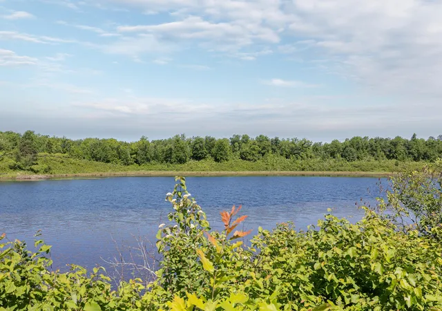 Photo 4 of Sale Pending at Tbd Kestrel Trl NW, Hackensack, MN 56452 | MLS# 7093865 | Listing updated on 2026-09-11
