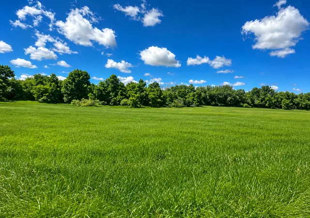 Photo 2 of Land for sale at Tbd Highway 77, Wadena, MN 56482 | MLS# 7096072 | Listing updated on 2026-09-11