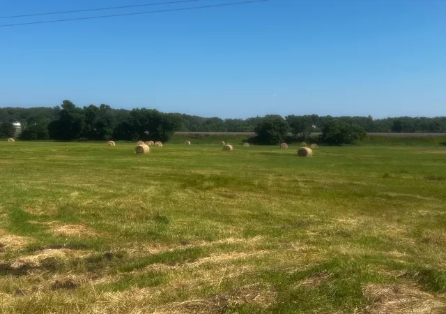 Photo 3 of Land for sale at Tbd Highway 77, Wadena, MN 56482 | MLS# 7096072 | Listing updated on 2026-09-11