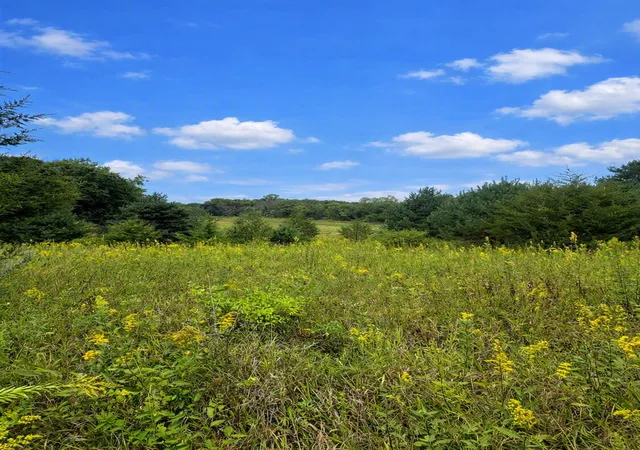 Photo 1 of Land for sale at Xxxx Jeffrey Blvd, Stillwater, MN 55082 | MLS# 7098507 | Listing updated on 2026-09-15