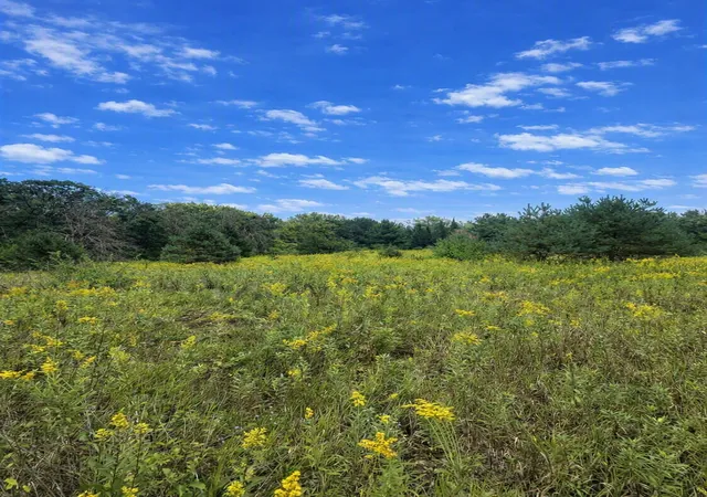 Photo 3 of Land for sale at Xxxx Jeffrey Blvd, Stillwater, MN 55082 | MLS# 7098507 | Listing updated on 2026-09-15