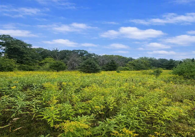 Photo 3 of Land for sale at Xxxx Jeffrey Blvd, Stillwater, MN 55082 | MLS# 7098507 | Listing updated on 2026-09-15