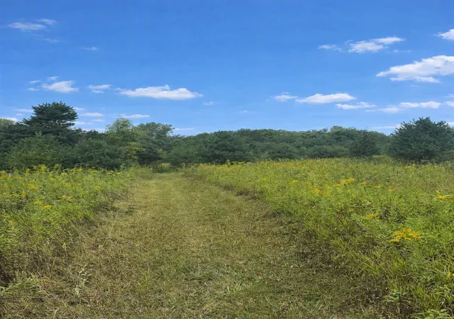 Photo 4 of Land for sale at Xxxx Jeffrey Blvd, Stillwater, MN 55082 | MLS# 7098507 | Listing updated on 2026-09-15