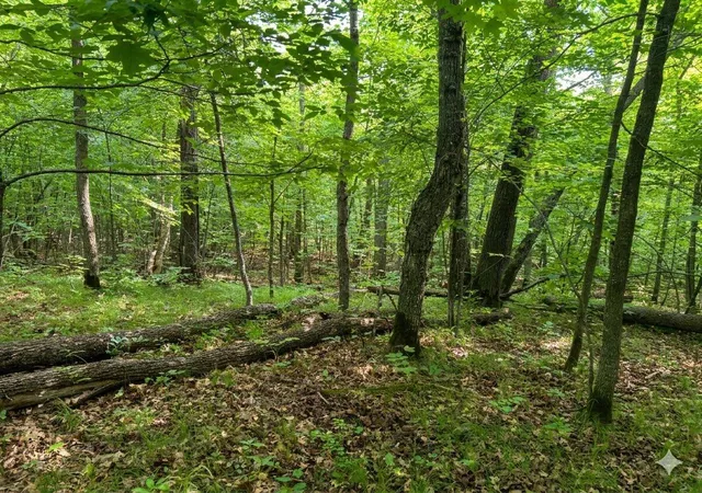 Photo 4 of Sale Pending at Xxx 400th Street, Waubun, MN 56589 | MLS# 7111520 | Listing updated on 2026-09-10