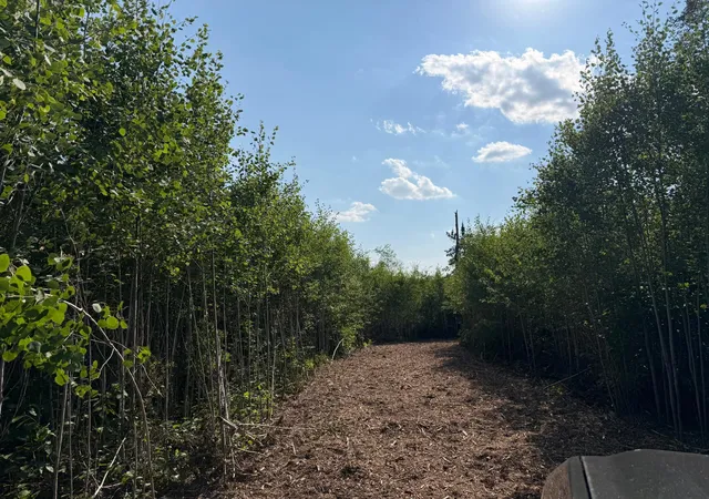 Photo 4 of Sale Pending at 48043 Deerfield Rd, Kerrick, MN 55756 | MLS# 7112713 | Listing updated on 2026-09-11