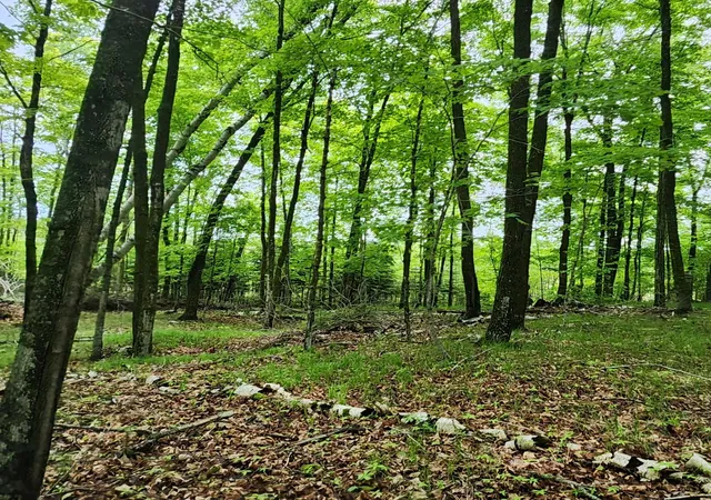 Photo 3 of Land for sale at 3157 4th Avenue NW, Longville, MN 56655 | MLS# 7123314 | Listing updated on 2026-09-10
