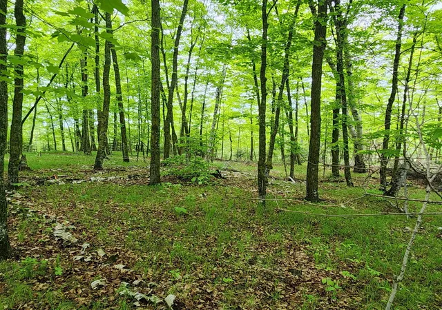 Photo 4 of Land for sale at 3157 4th Avenue NW, Longville, MN 56655 | MLS# 7123314 | Listing updated on 2026-09-10