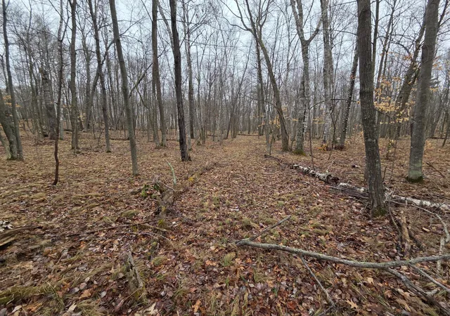 Photo 1 of Land for sale at Tbd County 11, Longville, MN 56655 | MLS# 7123355 | Listing updated on 2026-09-10