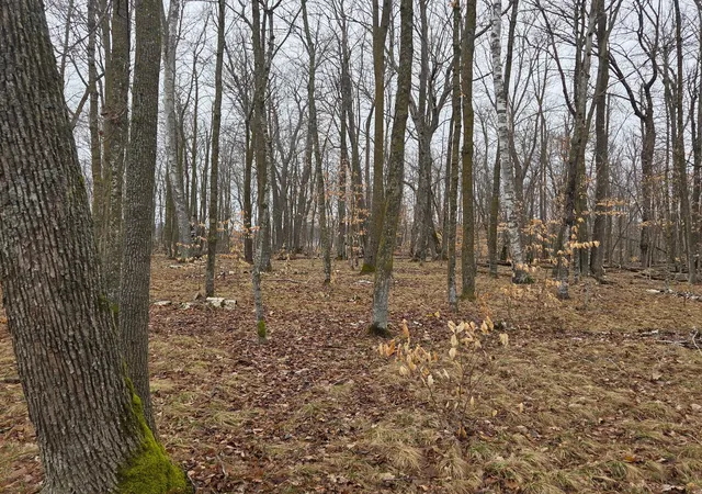 Photo 2 of Land for sale at Tbd County 11, Longville, MN 56655 | MLS# 7123355 | Listing updated on 2026-09-10