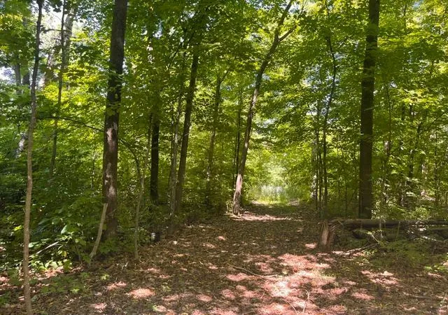 Land for sale at Lot 2 County Rd Bb, Woodville, WI 54028 | MLS# 7123758