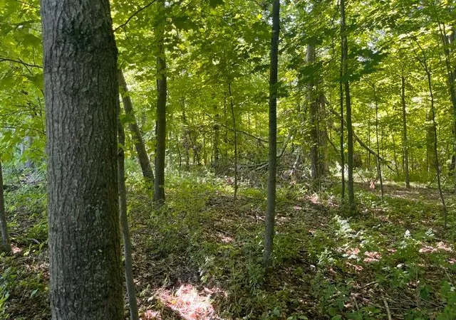 Photo 2 of Land for sale at Lot 2 County Rd Bb, Woodville, WI 54028 | MLS# 7123758 | Listing updated on 2026-09-11