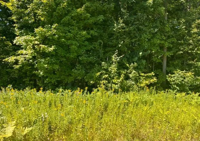Photo 3 of Land for sale at Lot 2 County Rd Bb, Woodville, WI 54028 | MLS# 7123758 | Listing updated on 2026-09-11