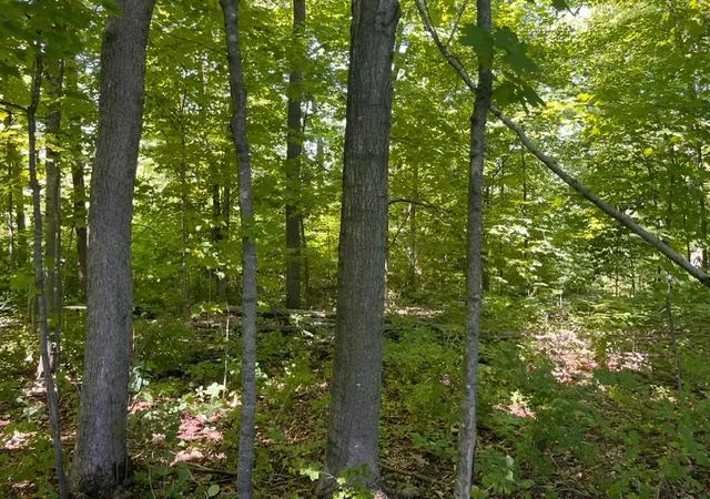Photo 3 of Land for sale at Lot 2 County Rd Bb, Woodville, WI 54028 | MLS# 7123758 | Listing updated on 2026-09-11