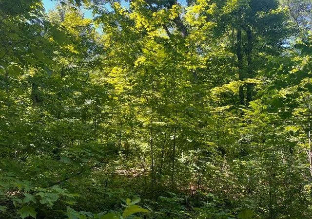 Photo 4 of Land for sale at Lot 2 County Rd Bb, Woodville, WI 54028 | MLS# 7123758 | Listing updated on 2026-09-11
