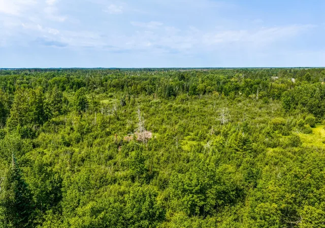 Photo 3 of Land for sale at Tbd Irvine Ave, Bemidji, MN 56601 | MLS# 7123936 | Listing updated on 2026-09-10