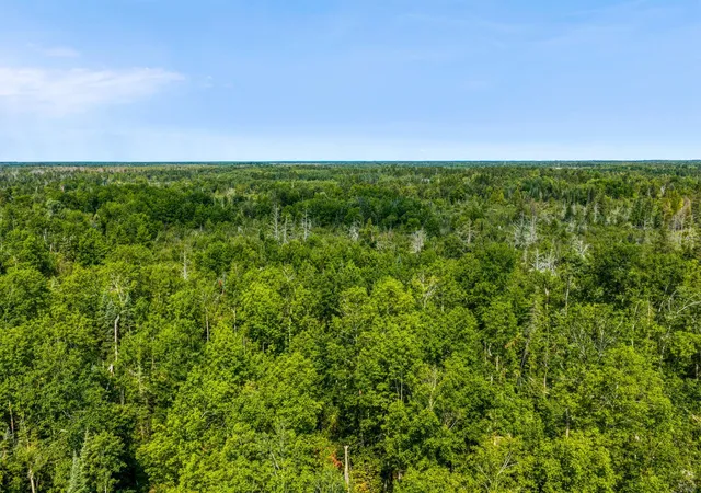 Photo 3 of Land for sale at Tbd Irvine Ave, Bemidji, MN 56601 | MLS# 7123936 | Listing updated on 2026-09-10