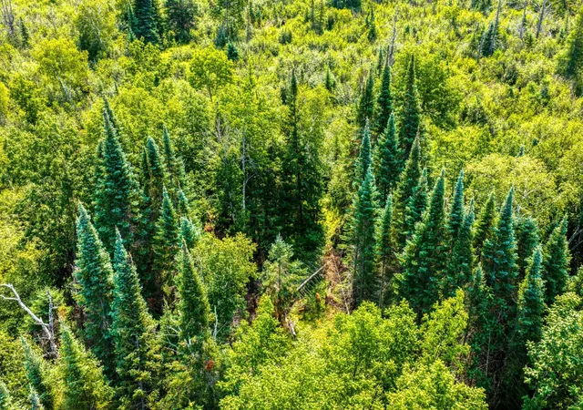 Photo 4 of Land for sale at Tbd Irvine Ave, Bemidji, MN 56601 | MLS# 7123936 | Listing updated on 2026-09-10