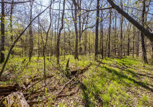 Photo 3 of Sale Pending at Block A Xxx, Oak Grove, MN 55070 | MLS# 7124614 | Listing updated on 2026-10-02