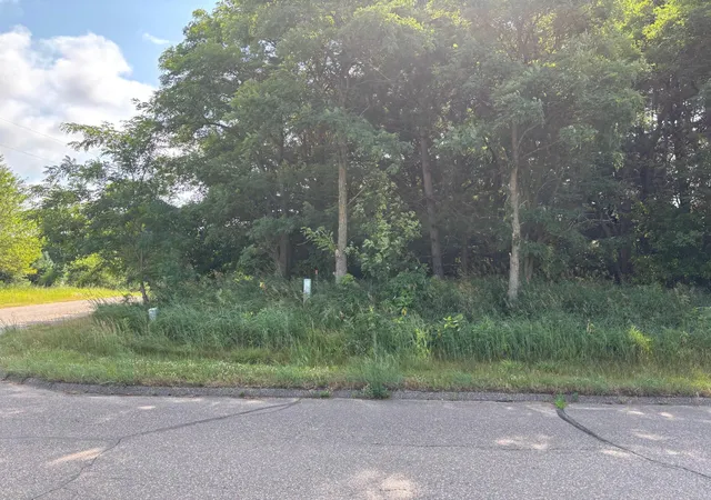 Photo 3 of Land for sale at Tbd 227th Lane Ne, Bethel, MN 55005 | MLS# 7125675 | Listing updated on 2026-09-15