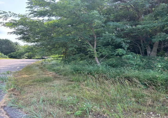 Photo 4 of Land for sale at Tbd 227th Lane NE, Bethel, MN 55005 | MLS# 7125675 | Listing updated on 2026-09-15