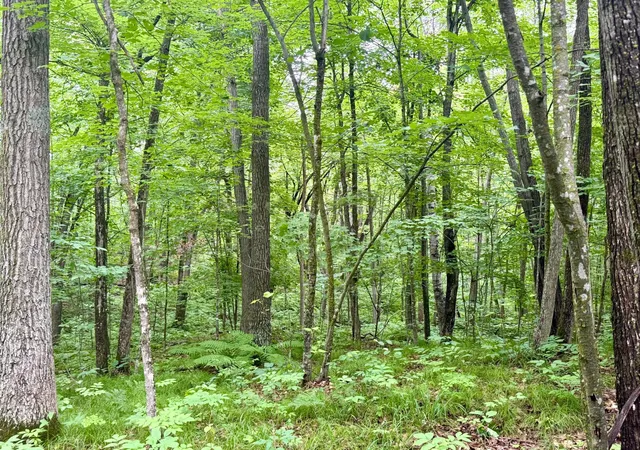 Photo 3 of Sale Pending at Xxxx State Hwy 84, Longville, MN 56655 | MLS# 7126414 | Listing updated on 2026-09-15