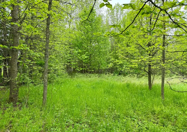 Photo 4 of Sale Pending at Xxxx State Hwy 84, Longville, MN 56655 | MLS# 7126414 | Listing updated on 2026-09-15