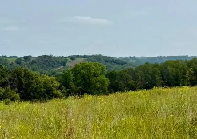 Photo 4 of Land for sale at 15xxx Welch Short Cut, Welch, MN 55089 | MLS# 7126503 | Listing updated on 2026-09-11