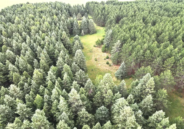 Photo 1 of Sale Pending at Tbd  Parcel C Sleepy Holw Rd, Brainerd, MN 56401 | MLS# 7126567 | Listing updated on 2026-09-15